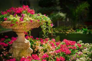 photo of Small Garden 