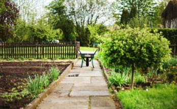 photo of Small Garden