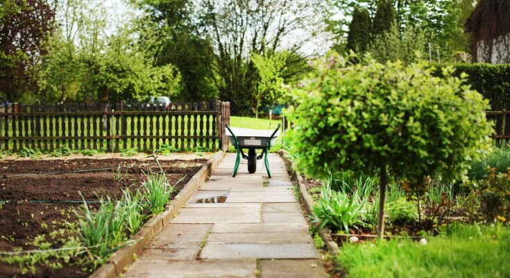 photo of Small Garden