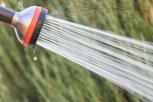 photo of Right Shower Head