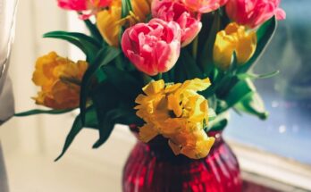 photo of Swung Vase